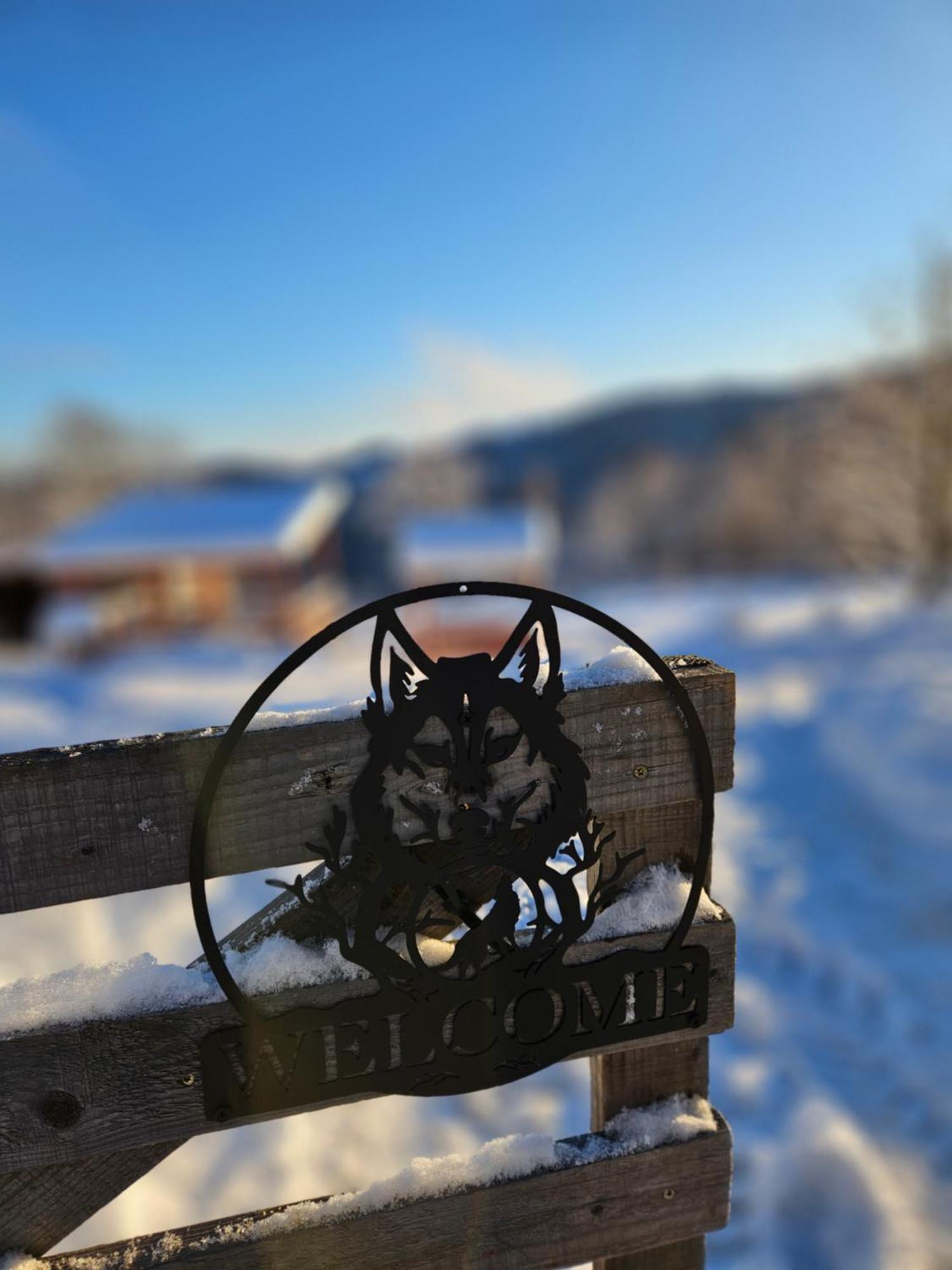 Cabana Lupul Din Apuseni Matisesti Exterior foto